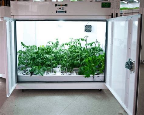 automated grow system canada